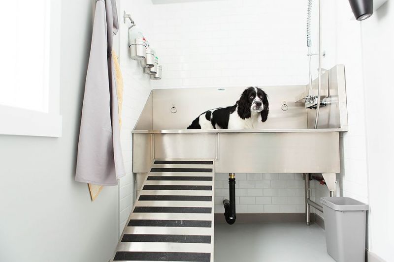 residential dog wash station